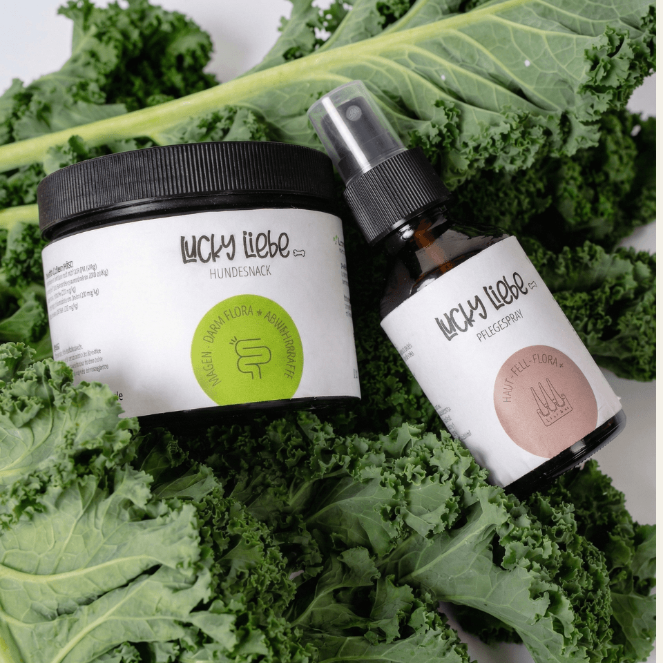 hundesnack & pflegespray